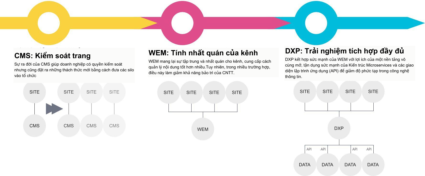 Sự phát triển của DXP Sự phát triển của DXP